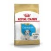 ROYAL CANIN Dalmatian Puppy 12kg -Tierbedarf Geschäft 9382d940cc28c8c30c9bd3f1689ced9e62f62f96 1037361 de DE rc2 3