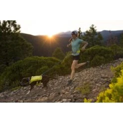 Ruffwear Trail Runner™ Laufgurt Limonen Gelb L-XL -Tierbedarf Geschäft 93a58c4fc27710218901d94aece28188b07bd319 1651444 de DE 8247d7fe22d77de2e7ea731c778011a0fe985828KUUc7c