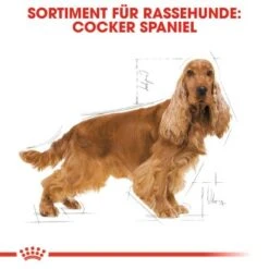 ROYAL CANIN Cocker Adult 12 Kg -Tierbedarf Geschäft 93a5a430a150edce75a03736821b4a48f8c895f6 1061209 de DE rc 2