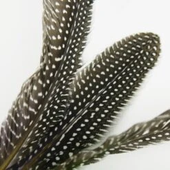 Schlitzohr Katzenangel Federanhänger 5x -Tierbedarf Geschäft 93b8e0c984d323f24d455bf8e74e2dbacef5703e 1484675 de DE 7b80f213f44ebcad765dbdebc25bf2d2f0177dbd64kHU2