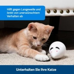 PetSafe Automatisches Katzenspielzeug RoloRat -Tierbedarf Geschäft 97df3eec34472f4ac76f2a0bbe4e75fdbbe02b64 1351522 de DE 83c2d308e962c4b6c64101ee39311b3a61647f71n2yR1C
