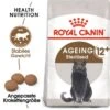 ROYAL CANIN Ageing 12+ Sterilised 4 Kg 2 ROYAL CANIN Ageing 12+ Sterilised 4 Kg -Tierbedarf Geschäft 9802dd133559937b704068f6cc8306b45b98c2ea c94ee72411cd7bd6a72a1493c122daa72c82a5e1