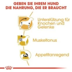 ROYAL CANIN Dachshund Adult Mousse 12x85g -Tierbedarf Geschäft 982fa56de23080eda60824de668a90bb86526e42 2f665959d4c475e51ab5a55b633f70a2346bb169