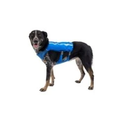 Ruffwear Trail Runner™ Weste Blau XS 19 Ruffwear Trail Runner™ Weste Blau XS -Tierbedarf Geschäft 98442c3f4ada02dc38bbe918031392b2ba7e1943 1639640 de DE 57b978069b1aa95a705eb1af32811decb2e9cfecAOoih7