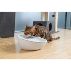 AniOne Keramik-Trinkbrunnen Waterfall Weiß Ohne Ersatzfilter -Tierbedarf Geschäft 9ab78e65ebaf72b76c537cd735c5a7cd6cd4d027 a897eca6393f48ff54c98954a2b189a96196cfbd