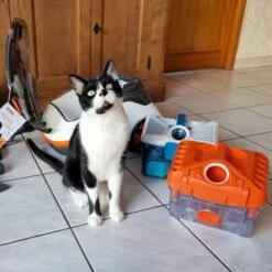 THOMAS Staubsauger -Tierbedarf Geschäft 9c1c711bdc998f487ed8c24bc96dc66adbb9a8a0 1406733 de DE c0788b12d8ca7e012c5c5d1a7cf9568fa3623544LvViH7