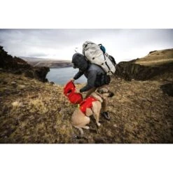 Ruffwear Palisades™ Hunderucksack S -Tierbedarf Geschäft 9c538d7ee351a6351261523d7827ff562558bc44 1444346 de DE 7e4484d919f848038e59e304ba140f6dbd9741abv6PWla