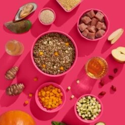 Fred & Felia FRED 10x390g SENIOR Schwein -Tierbedarf Geschäft 9e33d5239b1515153c8c97d2958bfe06f1965fed 1425482 de DE ce13e86eec3df201585dc2d27ba50b063287b02enuwYZI