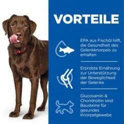 Hill's Science Plan Healthy Mobility Large Breed Adult 1+ Mit Huhn 14 Kg 11 Hill's Science Plan Healthy Mobility Large Breed Adult 1+ Mit Huhn 14 Kg -Tierbedarf Geschäft 9e8905fa913b1b9fe4d774fbfdfb66c9ce3ad66e 52742026015 4