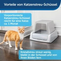 PetSafe ScoopFree Katzentoilette, Haube -Tierbedarf Geschäft 9f53ca90b171b847d777a219cd590baeb64c7e15 1368110 de DE be1af9fc2226731c8a8ce64e8c71ecd612a085e0SNiC7j