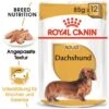 ROYAL CANIN Dachshund Adult Mousse 12x85g -Tierbedarf Geschäft 9f963a62a5df48d1b5d5f5042644d7a7f0bd2b92 4e6efe2d7d45064f1b4df3768196abcfd98501ce