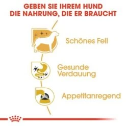 ROYAL CANIN Chihuahua Adult 12x85g -Tierbedarf Geschäft a1212bd4c85597fb805a0f74a8bc83dd87efc699 1239183 de DE rc