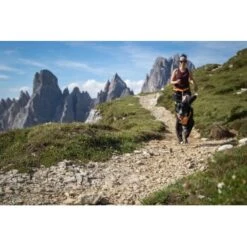 Ruffwear Omnijore™ Joring System L-XL -Tierbedarf Geschäft a1bcdb0edf5fa61b5365fa108c1179d91c6b71bd 1444283 de DE 30b0e091be713524ac4db3a2e81379b81e56a1a1Nsdguq