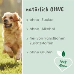CdVet DarmAktiv Hund & Katze -Tierbedarf Geschäft a1d5aa8ad1e78768ea3d0046581a6d39ae39c5c8 1275783 de DE 5094779605b36bf328986df22be8858164a90f82vPDpOL