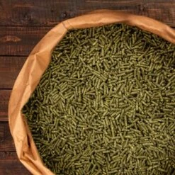 Knabbermann Carangas Meerschweinchenfutter 5 Kg -Tierbedarf Geschäft a2e9cfd2264a4440e350760ec4221a6690c6de11 1428488 de DE 94a0405cce40204948fd074580f5b244e504aac3WMbRWS