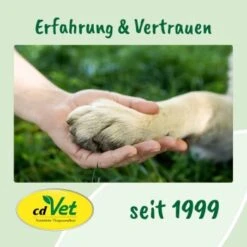 DentaVet Gel 25ml 11 DentaVet Gel 25ml -Tierbedarf Geschäft a3f0f225424e36ead3f58163a43f1ebde29b0acd 1667843 de DE f215127866d604991b4efc218004018ddf447095y5Ccte
