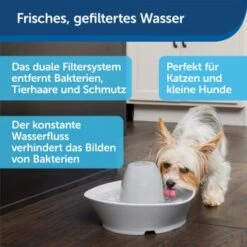PetSafe Trinkbrunnen Streamside -Tierbedarf Geschäft a4863bb01c9defc206f3abadb7407b11767619bd 1423698 de DE d7c376710365041814bb26a7ca9d55a6a9011fd8Nm0GoI