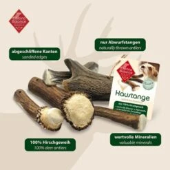 ChronoBalance Geweih Halbiert (XXL) 2er Paket -Tierbedarf Geschäft a6401578a55c212a3a1a86d9891145933913ef92 1418689 de DE 902a389be4b99eb60431c66affbaefe4377d7689afLNCu