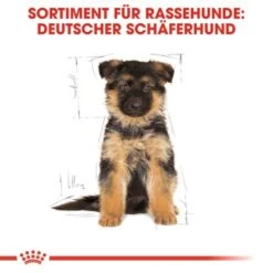 ROYAL CANIN German Shepherd Puppy 12 Kg -Tierbedarf Geschäft a6ed0d212b31f716e951be43160e14dc1fcf1361 828f54e1844421c8d74031b31ca63b9e59d8c1ae