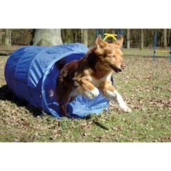 Dobar Agility Tunnel, 60 X 500 Cm 8 Dobar Agility Tunnel, 60 X 500 Cm -Tierbedarf Geschäft a70db425a55e65c0dd33cb4658677f3cead28e72 3dc1d9596c73e287c8ea8bc83f8445abe7adc92a