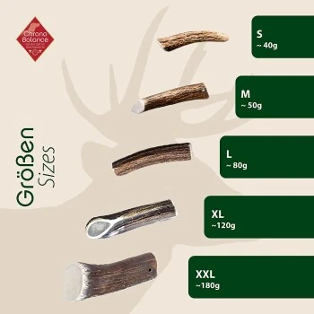 ChronoBalance Rothirsch Geweihstange Halbiert 200 G 7 ChronoBalance Rothirsch Geweihstange Halbiert 200 G – Bild 5