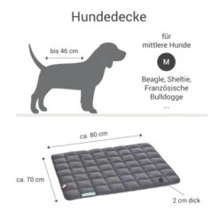 Doctor Bark Hundedecke Grün M -Tierbedarf Geschäft a94f9155e4e3594e9362b3931930cb77b7e48bcd 1658159 de DE d35f413da598052eaa87fce5f44df376cd53859do9MNja