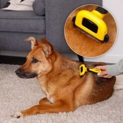 Lionto Haustierbürste, Zupfbürste -Tierbedarf Geschäft a99a14a7250fd4e501ec529126934f0a8e973480 1665908 de DE 47ac745e0253c5bc3fba7e69b1681c237a8f3a97orElkU