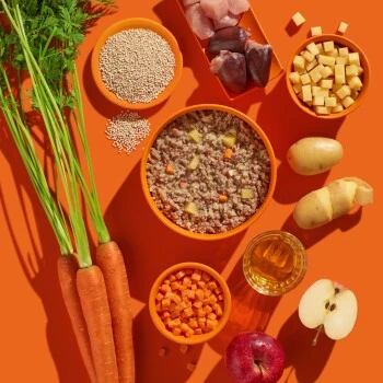 Fred & Felia FRED 10x200g Pute Mit Kartoffeln 6 Fred & Felia FRED 10x200g Pute Mit Kartoffeln – Bild 4