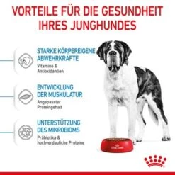 ROYAL CANIN Giant Junior 15 Kg -Tierbedarf Geschäft ac9391ed060fc88f758d4d37f9e70e5ec4c12fb1 3182550707077 5