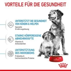 ROYAL CANIN Medium Starter 15 Kg -Tierbedarf Geschäft acb15bbb7b41e4def079872bea4263585c7c6e23 5870a5fecba74a3a49092a07c120a3ff257b845d