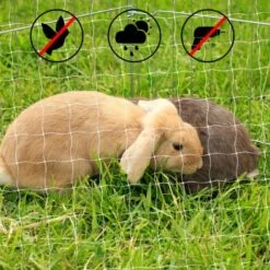 Lionto Katzennetz Inkl. Befestigung -Tierbedarf Geschäft ad1b651d8bcc461ab7a5d32a4c77b44e521cf768 1665913 de DE 7c500006d9abf3223e26fa8841d70bed2db024adIv4nbt