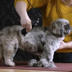 Moser Schermaschine Max 45 Inkl. ASK -Tierbedarf Geschäft b0d4eca208b1c44fde9769108a0a7feb3a3a5ad2 da57035be550c76ab9dcf7d8dbc15959d076f3f0