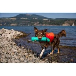 Ruffwear Lunker™ Spielzeug Blau/ Türkis 22 Ruffwear Lunker™ Spielzeug Blau/ Türkis -Tierbedarf Geschäft b1ff74faaf51c648517e284bc677372b2de917b1 1364294 de DE 872baa13c3c684e3cd884d6a02e37e7e22ad686cLNC7EY