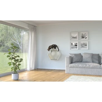 AniOne Wandhöhle 6 AniOne Wandhöhle – Bild 4