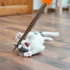 Schlitzohr Federwedel Birdy 3er Pack 17 Schlitzohr Federwedel Birdy 3er Pack -Tierbedarf Geschäft b2468018bd2b888c11ee64154d86732de60c7830 1659562 de DE 7d36675a42a956412d003b03e1f072b0ae0379063UsHBd