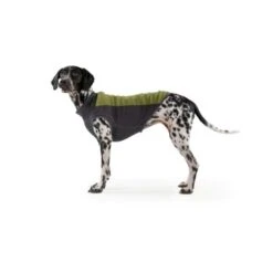 Ruffwear Climate Changer™ Fleece-Pullover Für Hunde Rot S -Tierbedarf Geschäft b28669818d8fcb81e0661ed639732808849f280a 1369661 de DE 64aaf340211e6364e47cd57e7a205b9b6074a78fHTZZhE
