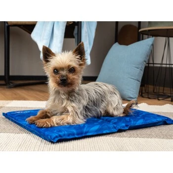 TrendPet Arctic Comfort 20 Mm Premium Kühlmatte Blau XS 4 TrendPet Arctic Comfort 20 Mm Premium Kühlmatte Blau XS – Bild 2