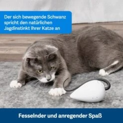 PetSafe Automatisches Katzenspielzeug RoloRat -Tierbedarf Geschäft b65e953878b463eb5125c940634b84e8b7c79a3f 1351522 de DE 3daf7dbb27d01ce7d63f06677a32dd6cde28abb9X2tLJP