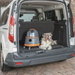 THOMAS Boxer -Tierbedarf Geschäft b88f849533b8ebe1b5a7ad5744a96450027d0fae 1406732 de DE 0d542195b78af5d42f192c44669d7c2bbf8e5208f0NCyT