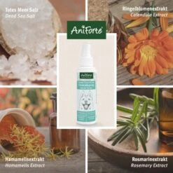 Aniforte Dentalspray Zahnpflege Spray 100ml -Tierbedarf Geschäft b8c2494df30b706b215daba4b3b66c8a0a3adb3b 1439278 de DE f771ceb2289f6e14df78bea1815642d81ce3e3cf9ASqvV