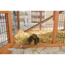 Trixie Nagerstall Natura Mit Auslauf -Tierbedarf Geschäft ba3a0bf8ca9f170c93bb20d8b9a1c996fc62f60a 018fa5b7bc6a586c5b399fb3273b0bd2829eee6a