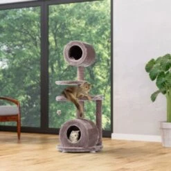 MORE FOR Kratzbaum Jive -Tierbedarf Geschäft ba465afaa9ffb7d77bc7734ed7dbb785ff76646f d6a5a8b38136f1f66656c79e1a87133b075995b8