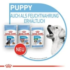 ROYAL CANIN Medium Puppy 10x140g -Tierbedarf Geschäft bc3f92646659ab6935de7e665d9d8b81c0b7c9cf 3a53132540880784da6eadc00c0e47ffd800aa3d