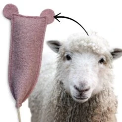 Kater Kasimir Kitten Paket Mit 3 Premium Katzenspielzeugen -Tierbedarf Geschäft bc4a02e382f346a66040c1fa763ed0b6de2a5735 1422147 de DE 01cb8bf79e03c6331e75f612c6e7e9cacb1479e2DESopA