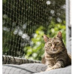 Trixie Katzenschutznetz Cat Protect 2 M, 1,5 M -Tierbedarf Geschäft bc6f0b8052c3a5b997776619d64762770aac1a9d 1017572 de DE trixie schutznetz wb2