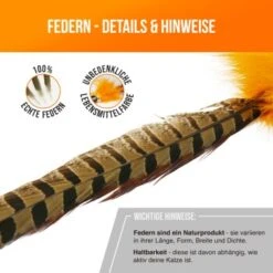 Schlitzohr Federwedel Birdy 3er Pack 20 Schlitzohr Federwedel Birdy 3er Pack -Tierbedarf Geschäft bdc9ecaec43f47b36019280ae7e788c534174412 1659562 de DE 36b11fb8804ed0ab3e1a5483fcd8be597379266daxQShR