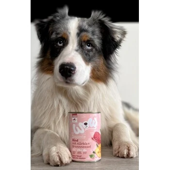 WOW Junior 6x400g Rind Mit Kürbis 4 WOW Junior 6x400g Rind Mit Kürbis – Bild 2