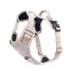 Freudentier Atmungsaktives Hundegeschirr S -Tierbedarf Geschäft c06eb245ac6139883574f271a28c7a317f61091c 1429123 de DE 54f7662776546638d4895205027234028965cb0ciT3eNe