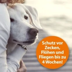 Ardap Zeckenspray Zur Anwendung Am Tier 250ml -Tierbedarf Geschäft c211242df7e08f33fd5b606730fbf3d298e6cd4c 1288166 de DE 0495e7c3c66b5adb548c78a490f9c5a9804bc777AYMdPn