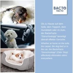 ChronoBalance BactoFacto Probiotischer Geruchsstopp Pads Für 2 Liter 20 Ml -Tierbedarf Geschäft c27e75fc226c89e592b2af9866887997e79057a8 1397549 de DE 11eaf103bff429178d8c79950fc83faf63345183BU6JEF